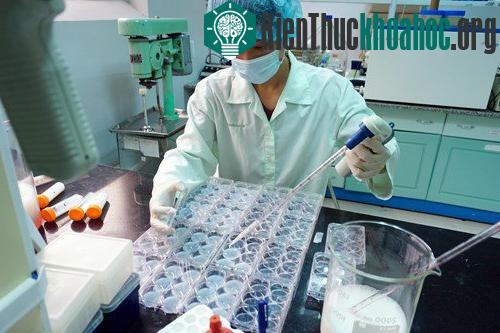 ​Vắc-xin Việt Nam sản xuất đủ điều kiện xuất khẩu ​(Ảnh: Thanh niên)