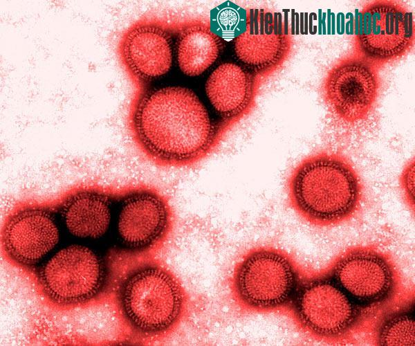 6 ý tưởng khoa học kinh dị nhất