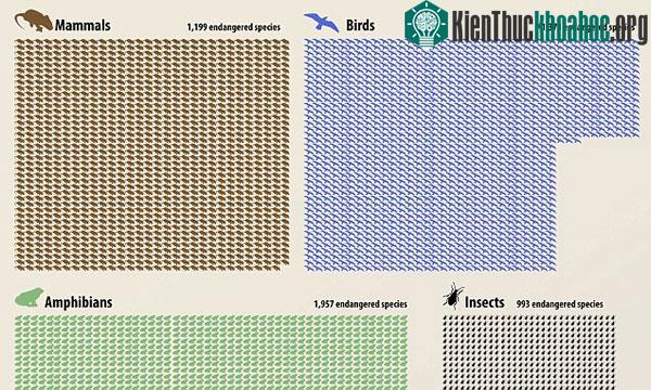 Thế giới đang đối mặt với cuộc đại tuyệt chủng thứ 6, với 41% động vật lưỡng cư sẽ bị xóa sổ khỏi bề mặt Trái đất, theo một nghiên cứu mới. Xem thêm tại đây