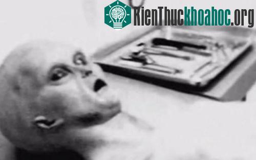 Một nhà nghiên cứu vật thể bay không xác định (UFO) công bố hình ảnh mà ông cho là của người ngoài hành tinh sau khi được mổ xác để nghiên cứu. Xem thêm tại đây