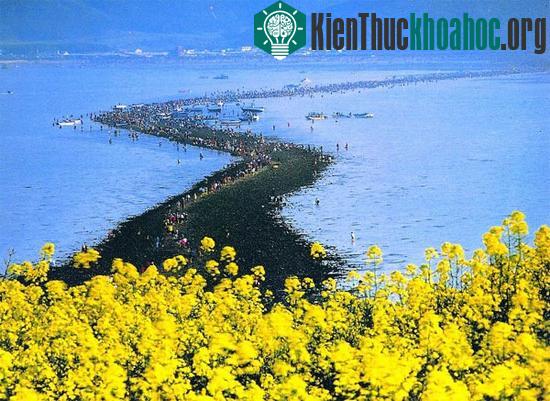 Cùng khám phá con đường đất giữa đại dương với hiện tượng biển chia đôi ở xứ sở kim chi. Xem thêm tại đây