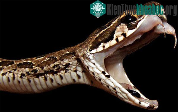 Tổng hợp tin tức hay trong tuần 03/09