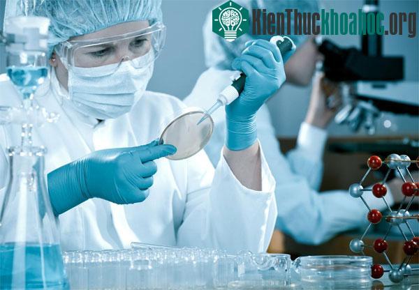 Ảnh minh họa: thesciencepeople.com