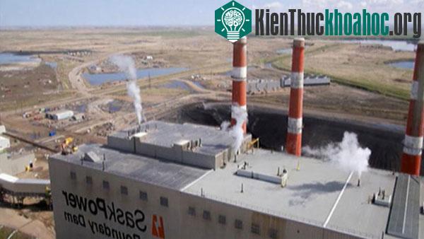 Ảnh: Wikipedia