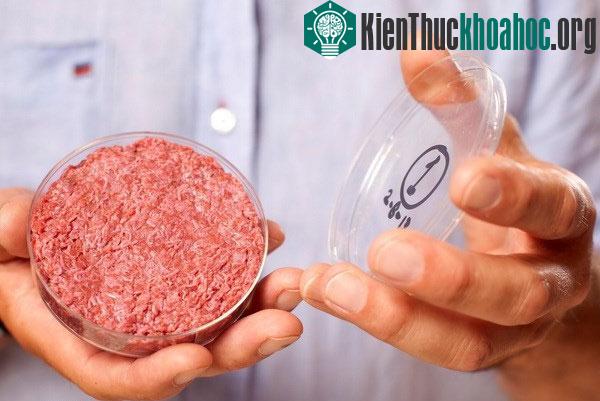 Thịt bò băm viên nhân tạo đầu tiên trên thế giới. (Ảnh: AFP/TTXVN)