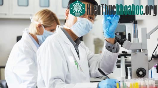Ảnh minh họa: Shutterstock