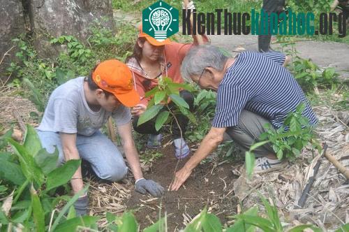 Trồng cây rừng trong Khu Cứu hộ động vật hoang dã Hòn Me. (Ảnh: WAR)