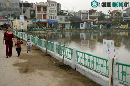 Cây xanh sẽ cải thiện môi trường sống cho người dân bên hồ Lâm Tường.