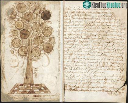 Trang bìa và "may tree" từ Örtaboken, bản thảo của Linnaeus được biết sớm nhất từ 1725