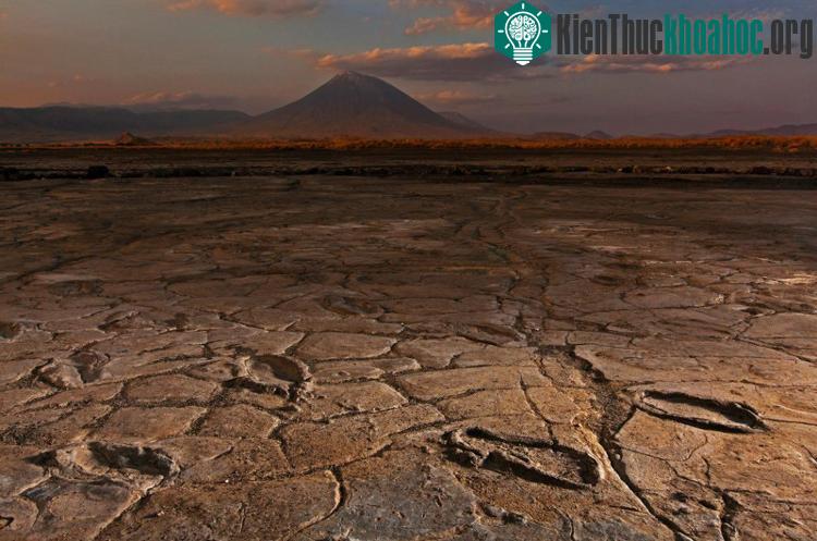 Dấu chân người cổ đại ở đất núi lửa Tanzania. (ẢNH: NATGEO).