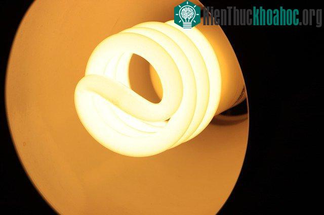 Những biện pháp đơn giản dưới đây có thể giúp bạn sống sót qua mùa hè nóng bức này. Xem thêm tại đây