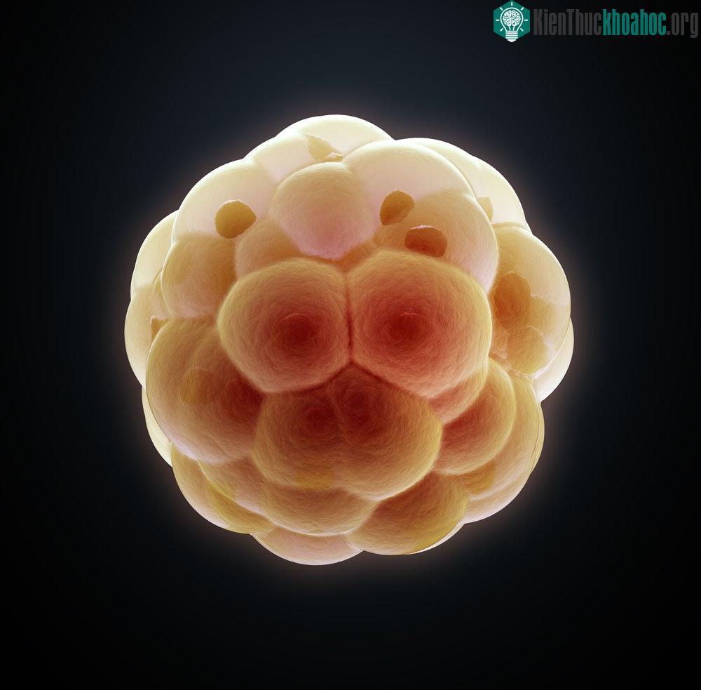 Công nghệ chỉnh sửa gene CRISPR là bước đột phá trong kỹ thuật chỉnh sửa gene năm nay.