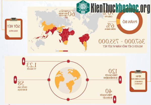 Nobel Y học 2015 quan trọng với nhân loại thế nào?