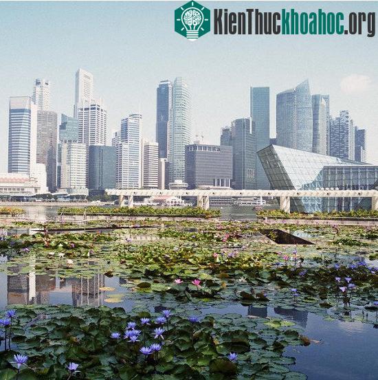 Singapore lên kế hoạch trở thành “Quốc gia thông minh” đầu tiên trên thế giới