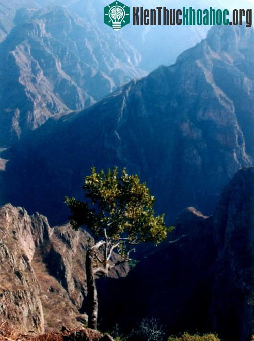 đây