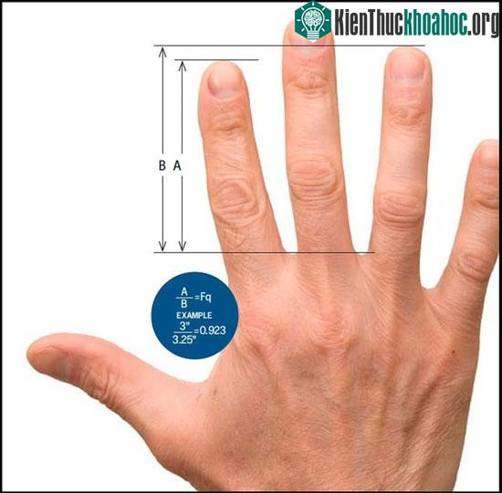 Nếu từng cho rằng, xem tay đoán tướng số là trò nhảm nhí thì sau bài đọc này, bạn sẽ phải suy nghĩ lại đó. Xem thêm tại đây