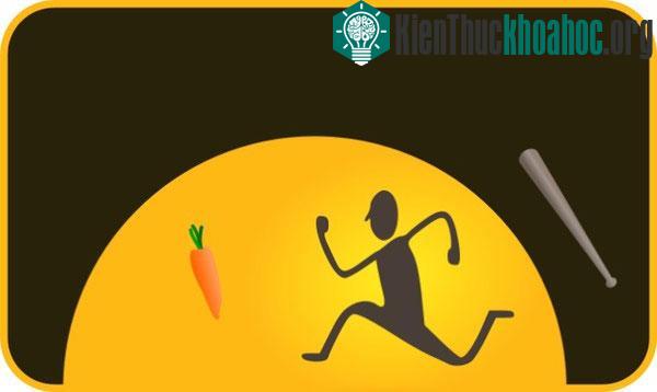 Cùng điểm lại một vài tuyệt chiêu giúp bạn thôi miên những người xung quanh giúp ta "bảo gì nghe nấy". Xem thêm tại đây