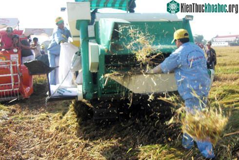 Chiếc máy gặt đập của ông Phạm Hoàng Thắng. (Ảnh nhân vật cung cấp)