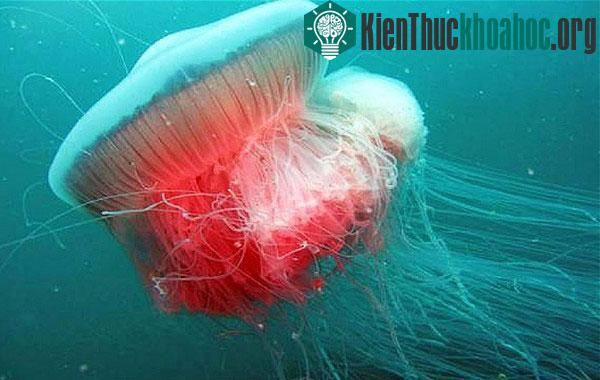 Tổng hợp tin hot trong tuần- ảnh 13