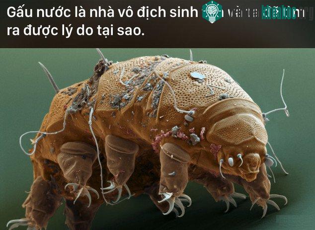 Các nhà khoa học Nhật Bản đã hóa giải được bí mật này.