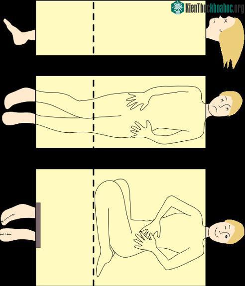 Chùm ảnh dưới đây sẽ giúp bạn hiểu được luôn "bí kíp" của một số màn ảo thuật nổi tiếng trên thế giới. Xem thêm tại đây