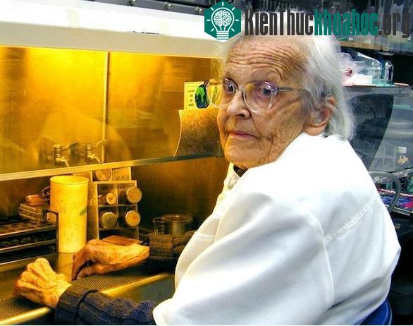 Ngày 9/9: Lần đầu tiên phát hiện lỗ thủng ozone tại một thành phố đông dân ảnh 2
