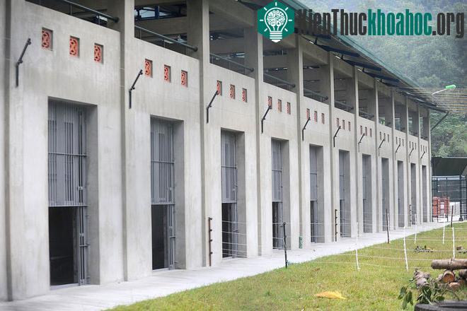 Đây là nơi ở của gấu, được chia thành các buồng nhỏ. Một số buồng gấu được trang bị đặc biệt, có thiết kế phù hợp cho thể lực và vận động của các cá thể gấu tàn tật được cứu về từ các trang trại nu...