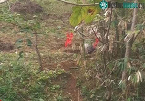 Ngoài Tuyên Quang, vật thể này còn được phát hiện tại xã Tân Đồng, huyện Trấn Yên (Yên Bái).