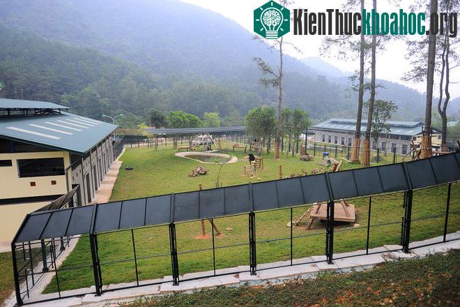 Hai khu gấu đôi mới hoàn thiện có nhiều cải tiến so với các khu chăm sóc gấu đã xây dựng trươc đó tại Trung tâm. Cơ sở vật chất của Trung tâm hiện có một khu cách ly, 5 nhà gấu đôi với 10 khu bán h...