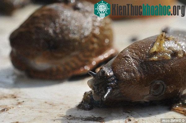 Tổng hợp tin tức hay tuần 02/09