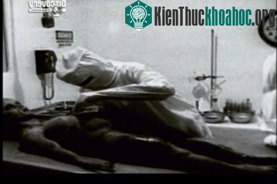 Những “cú lừa” nổi tiếng trong khoa học- ảnh 5