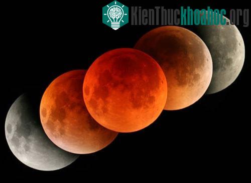 Nhật thực luôn diễn ra khoảng hai tuần trước hoặc sau nguyệt thực