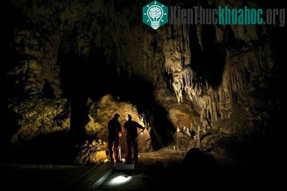 Hang động bích họa 36.000 năm tuổi trở thành di sản thế giới ảnh 4