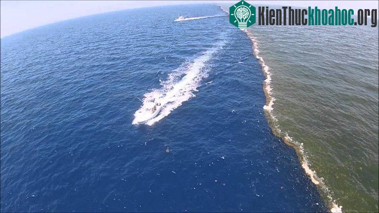 Mỗi đại dương trên thế giới đều có một số khu vực xảy ra hiện tượng mặt biển bị chia đôi, thành hai màu nước khác hẳn nhau. Xem thêm tại đây