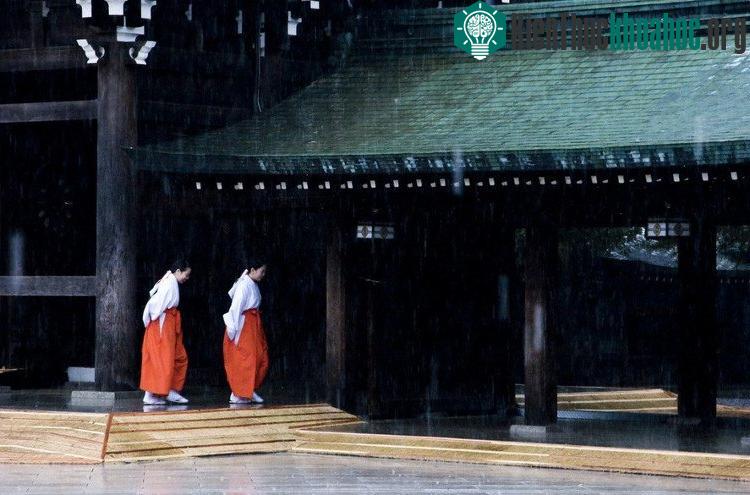 Đây là danh sách những nước có chỉ số IQ cao nhất thế giới. Danh sách này đã gây ra nhiều tranh cãi vì không ít người cho rằng nó không phản ánh đúng thực tế do các phương pháp nghiên cứu vẫn chưa ...