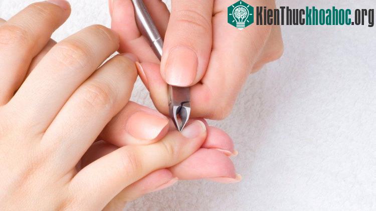 Đôi tay vừa là điểm mạnh vừa là điểm yếu của chúng ta, bằng chứng là tay bạn thường tấy mấy nghịch ngợm, sờ mó những chỗ không nên đụng vào, chẳng hạn 7 vị trí sau đây. Xem thêm tại đây