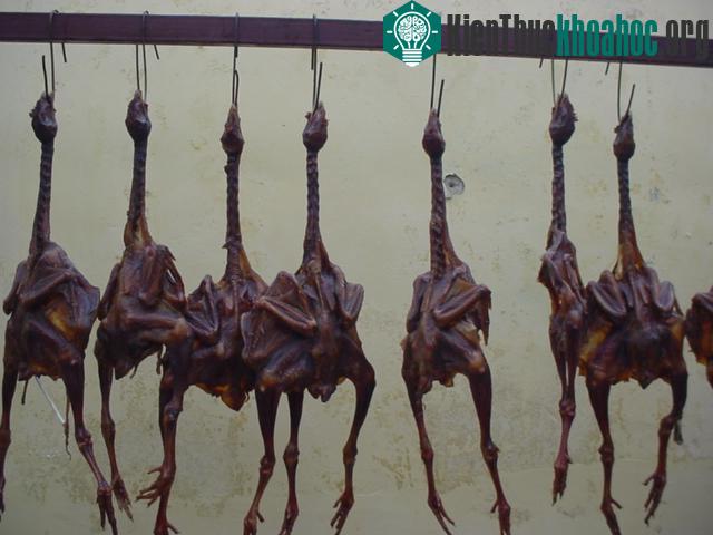 Món ăn có tên gọi khá lãng mạn: "gà hong gió" - nhưng cách làm ra nó thì bị lên án kịch liệt. Xem thêm tại đây