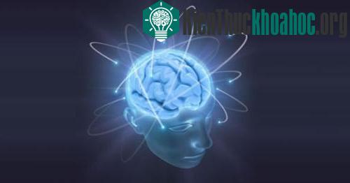 Làm sao để biết bạn có thông minh hay không? Bạn sử dụng các bộ câu hỏi IQ phức tạp hay đo sự hoạt động của não bộ? Những bài kiểm tra tốn kém và mất thời gian đó trên thực tế không phải là giải ph...