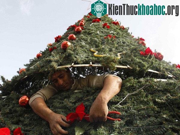 Dưới đây là một vài những dịch vụ nghề nghiệp có đôi phần lạ lẫm với chúng ta nhưng những người trong giới siêu giàu vẫn thường "xài", theo thống kê từ trang Business Insider. Xem thêm tạ...