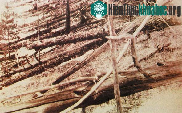 Năm1908, tại vùng Tunguese Xibiri, xảy ra một vụ nổ lớn kỳ quái. Sức mạnh của nó tương đương với sức nổ của 500 quả bom nguyên tử, hoặc mấy quả bom khinh khí, cùng nổ một lúc. Xem thêm tại đây