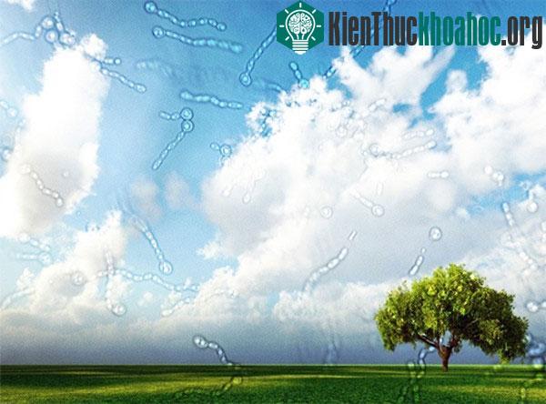 Tổng hợp tin tức "nóng" tuần 01/09