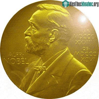Nobel Hòa bình năm nay sẽ "ít gây tranh cãi"