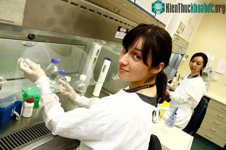 New Zealand ra mắt ba quỹ học bổng về biến đổi khí hậu