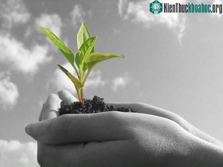 Ảnh minh họa: lifemaideasy.com.