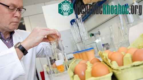 Đức đóng cửa gần 5.000 trại chăn nuôi ảnh 0