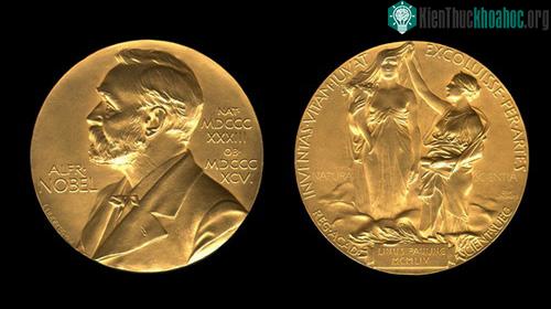4-10 “khai hội” Nobel ảnh 0