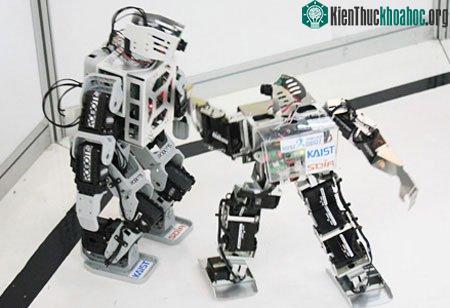 Đại hội võ lâm cho robot ảnh 0