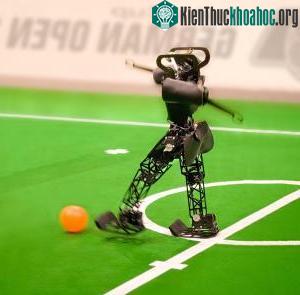 “Giải bóng đá Đức mở rộng” dành cho robot ảnh 0