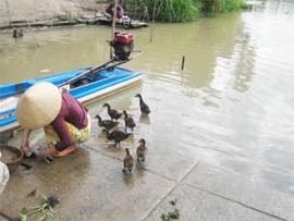 Hà Lan-Việt Nam triển khai chương trình khai thác nước bền vững ảnh 0