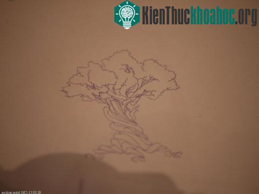 Một trong những tác phẩm của SketRobo.